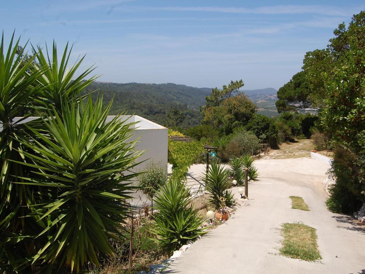 A Perfect Villa With Pool Terrace And Garden Alcobaca Luaran gambar