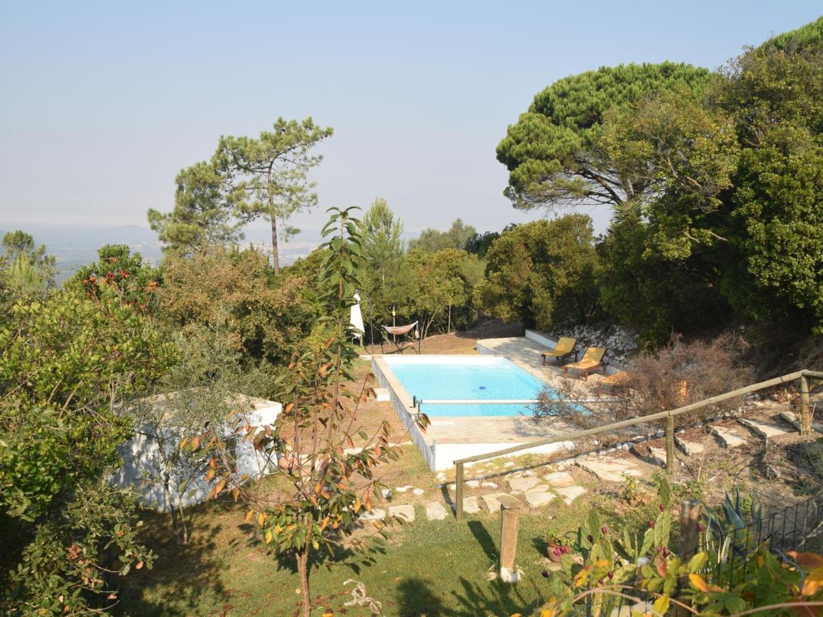 A Perfect Villa With Pool Terrace And Garden Alcobaca Luaran gambar
