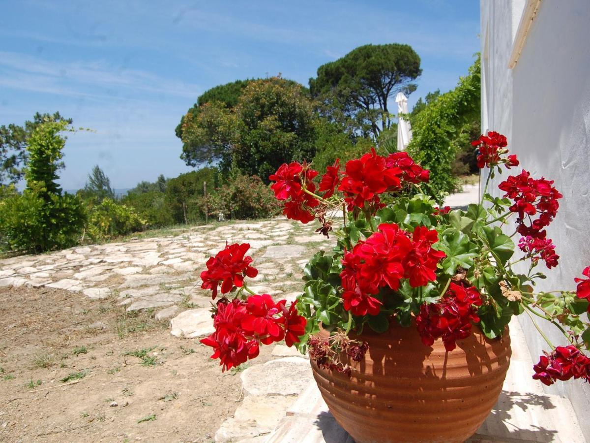 A Perfect Villa With Pool Terrace And Garden Alcobaca Luaran gambar